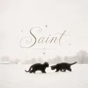 ♱﹒　saints  ﹒  social  ﹒  soul tag