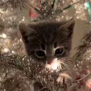 xmas