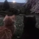 𝑉𝑒𝑙𝑣𝑒𝑡 𝐿𝑜𝑢𝑛𝑔𝑒