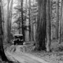 The Town of Maplewood