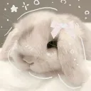 °~▪Tail&Paw▪~°