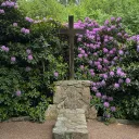 the garden