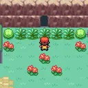 THERE IS A NEW ROCK BY THE WATER