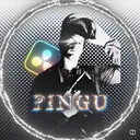 Pingu.AE server icon