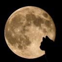 🌙  𝓒𝓸𝔃𝓮𝓮
