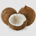 1.6B |  Coconut’s Hangout 🥥