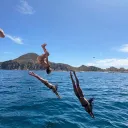 marauders summer au rp
