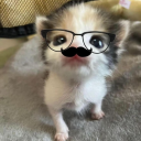poopers