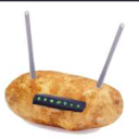 Potato Network
