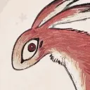 little rabbit