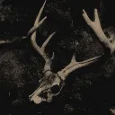 𓉸　.𝑾𝒉𝒆𝒓𝒆 𝑻𝒉𝒆 𝑭𝒍𝒐𝒘𝒆𝒓𝒔 𝑾𝒊𝒍𝒕 𓂃₊ ⊹