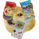 The Doge Clan