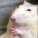 Looking for a gf discord icon