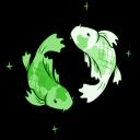 🌿 ﹒ arium