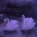 ༄ 𝒱𝑒𝓁𝓋𝑒𝓉 𝒟𝓇𝑒𝒶𝓂𝓈 ༄