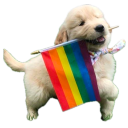 ⋆⑅˚₊ 🐶 safe fur work!