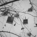 tower of memories
