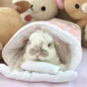 plsplsplspls