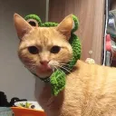Абсолютный NEW Жабя Лэнд