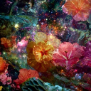 🎶💫Melodies of Flowers🌺🌿