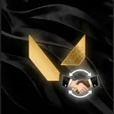 Valorant Voluntary Boosting discord icon