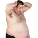 DOZTURTLE’S SHELL