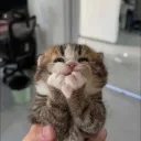 ergününün doğum günü