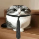 Server icon