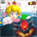 SM3DW+BF Speedrun Group