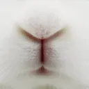 ᑲυ𐓣𐓣𝗒 ρω𝗂𐓣𝗍𝗌