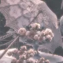 scarletsakuraaa's server