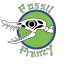 Fossil Frenzy