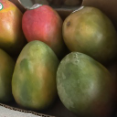 the souls of the mango
