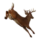 𝓔　、　el bosque