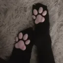 /Kisu