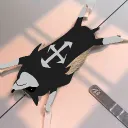 the hedgeodds (BRAND SPANKIN NEW)