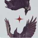 𝕿𝖍𝖊 𝕽𝖆𝖛𝖊𝖓'𝖘 𝕬𝖌𝖔𝖗𝖆 server icon