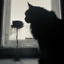feeling /low
