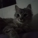 /nuit