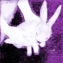 ʚ˙ 𝐏𝐚𝐧𝐝𝐨𝐫𝐚 ⊹˙ 𓆪