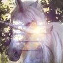 pink pony club