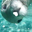 🌊𝕥𝕙𝕖 𝕤𝕖𝕒 𝕔𝕣𝕖𝕒𝕥𝕦𝕣𝕖𝕤🌊
