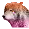 sf2 WOLVES AWOO