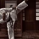 𝐓𝐡𝐞 𝐃𝐎𝐉𝐎 🥋