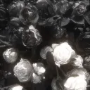 ♛ 𝑬𝑿𝑻𝑨𝑳𝑰𝑨 ˋ°•*⁀➷