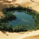 Oasis