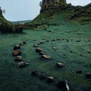 greycastle university | beastars inspired roleplay