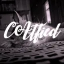Catified - Cat lovers