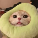 Meowzies