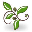 Stem